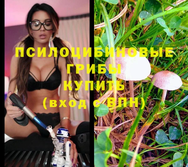 герыч Нягань