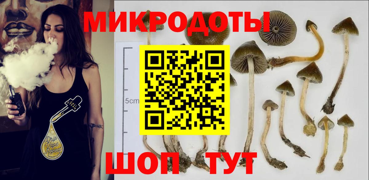 Галлюциногенные грибы Psilocybe  Вход с VPN  Шарыпово 